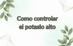 Como controlar el potasio alto