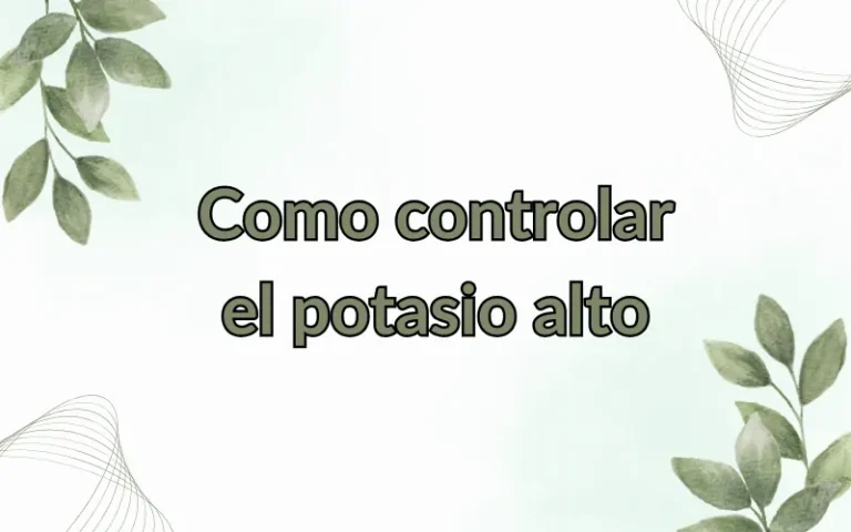 Como controlar el potasio alto